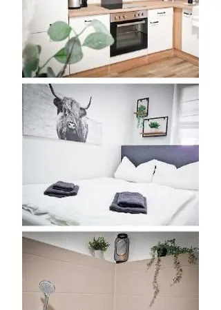 Grosszuegige Altstadtwohnung Lara Fuer 6 Personen Apartment
